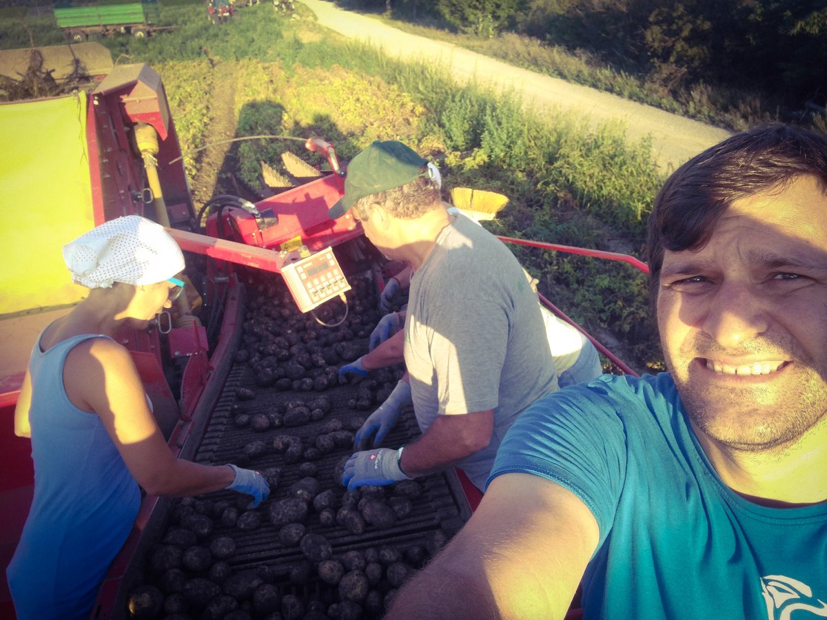 Aufgrund von Dürre und Schädlingen spitzt sich die Situation bei heimischen Landwirten zu. Ca. 70 Prozent der heimischen Erdäpfelernte sind heuer Schädlingen und der Dürre zum Opfer gefallen sein.

#Landwirtschaft #Erdäpfel #agrar

kleinezeitung.at/steiermark/553…