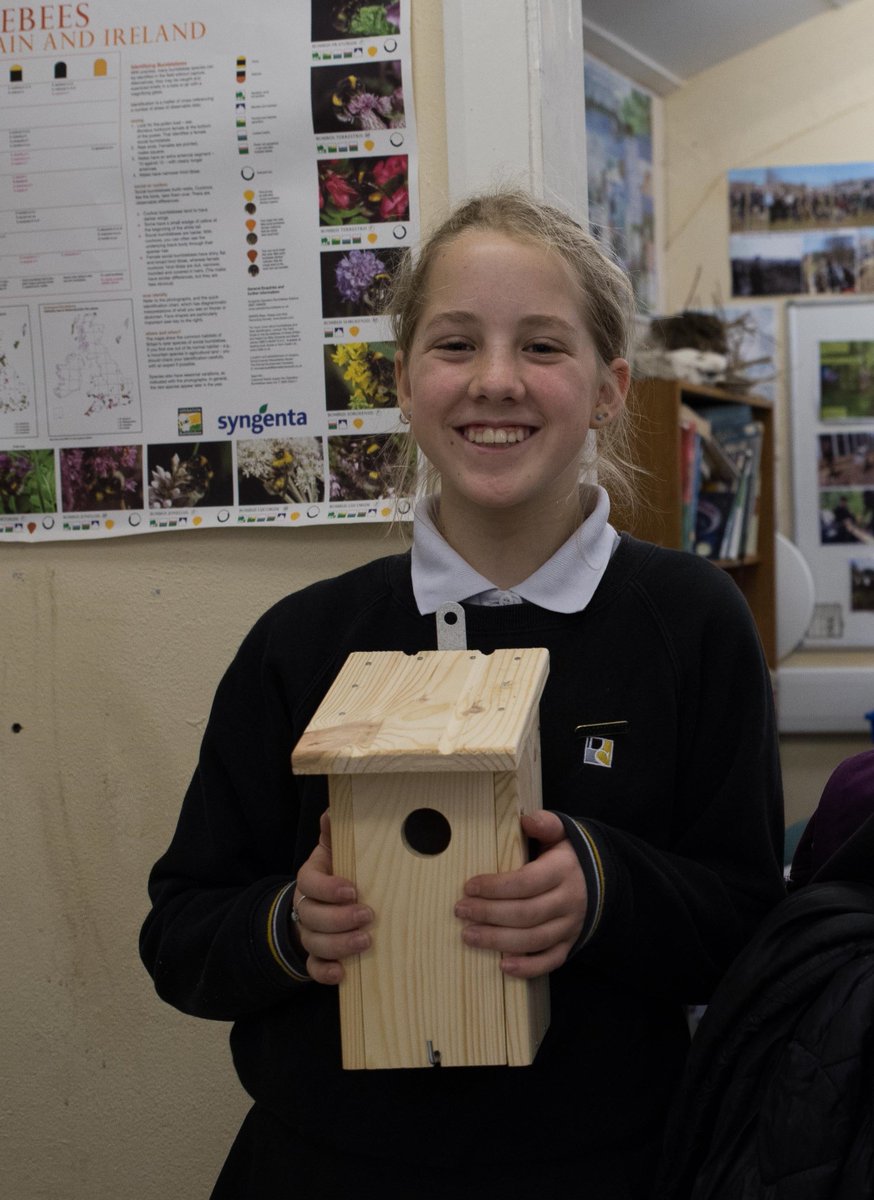 BH_Sparrows's tweet photo. Another productive and fun #sparrow nest box building session - this time at @DorothyStringer. The school is located right next to the area in #Brighton where sparrows appear to have gone extinct, so we really hope that pupils are successful with their nest boxes. https://t.co/W4s0dzcWjI