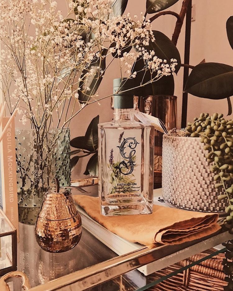 GordonCastleGin's tweet photo. How gorgeous does blogger Allie’s bar cart look? @rushandteal 📸
Our bottle looks so lovely on it 😍 Tag us in your bar cart pics using #gordoncastlegin and #gcgin 🍸 https://t.co/a91iJaEY7d