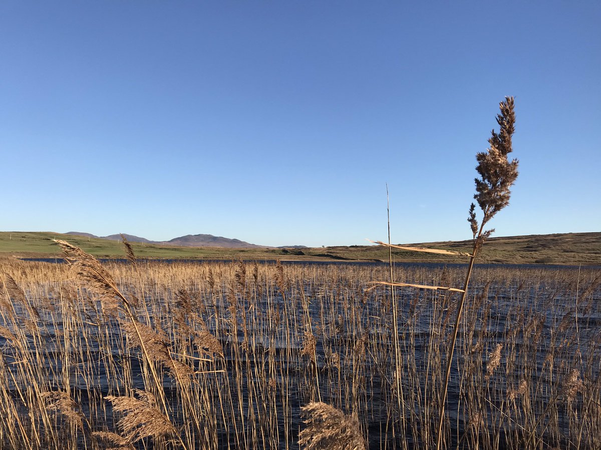 BoysEatScotland's tweet photo. ISLAY: This was our last stop on our #calmacadventures -FINLAGGAN - the ancient home of the Lordship of the Isles. #scotlandisnow #scotland https://t.co/v4kIMVz1MM