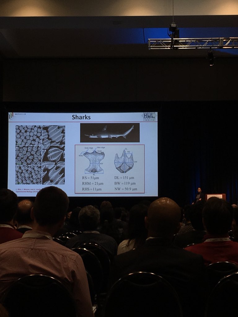 AlexBradley14's tweet photo. #APSDFD Bio-inspired drag reduction in turbulent boundary layers using texturing...where have I seen this recently @AeroCoach? #apsdfd2018 https://t.co/iocKPxrs8i