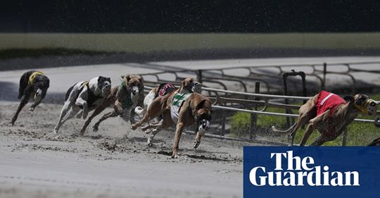 ,The <a href="/guardian/">The Guardian</a> reports on the death of US greyhound racing with the passage of Florida's Amendment 13 on Election Day g2kww.org/2FH9Epc