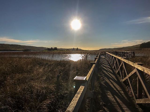BoysEatScotland's tweet photo. This is FINGLAGGAN - the ancient seat of The Lordship of the Isles in Islay. We spent ages wandering the island, reading all the information boards and wondering what it must have been like back in the 1300s.  There’s a wooden walkway across the water ma… https://t.co/ldmXmB8RLY https://t.co/S1SYbEQDPs