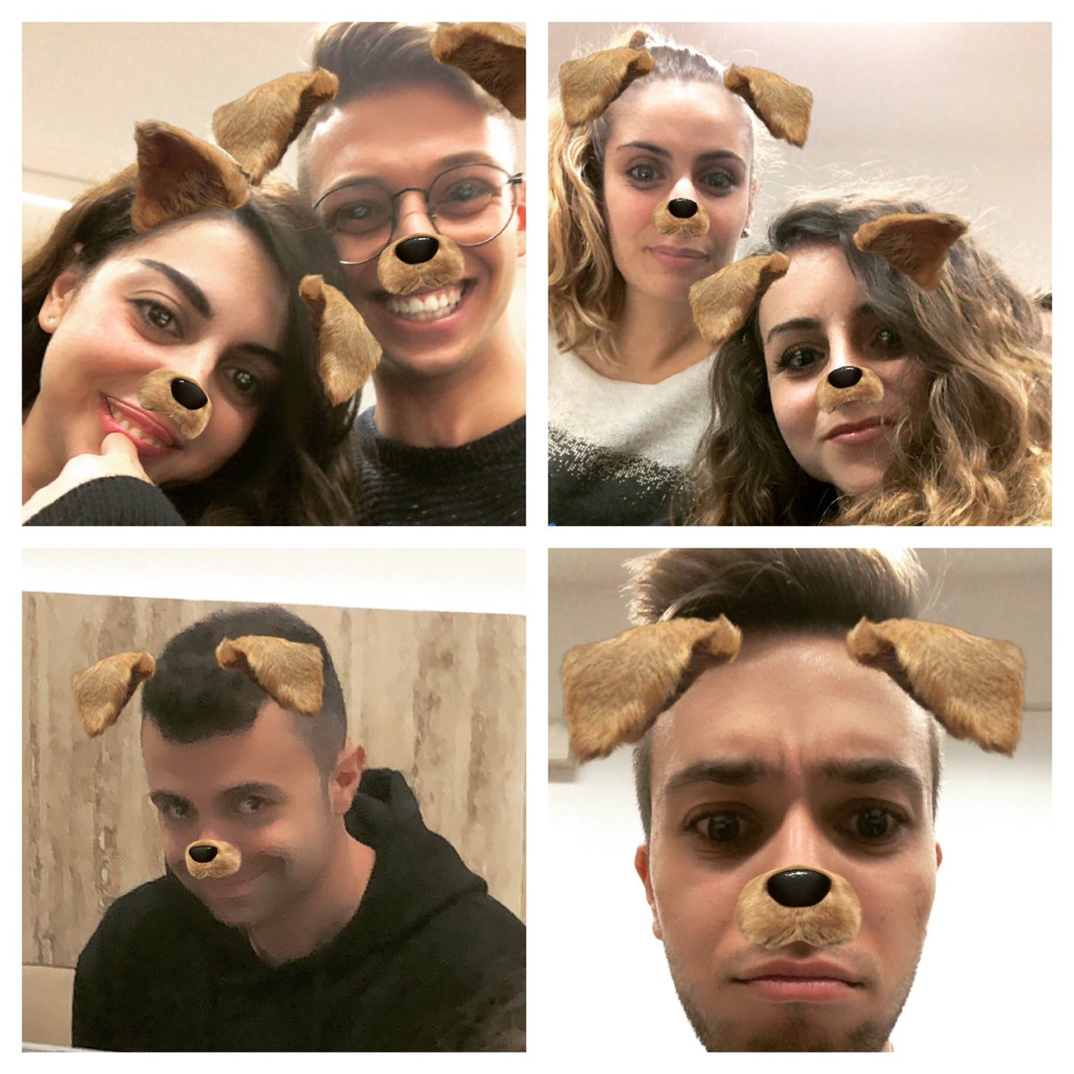 MarcoTom13's tweet photo. Alla fine della prossima settimana la trasformazione sarà completata😂!
 👩🏻👱🏼‍♂️🔜🐶🐱
#Morando #lastoriadelpetfoodinItalia #cmc2018
@Fedececco @m_vernuccio https://t.co/K6qofBtBne