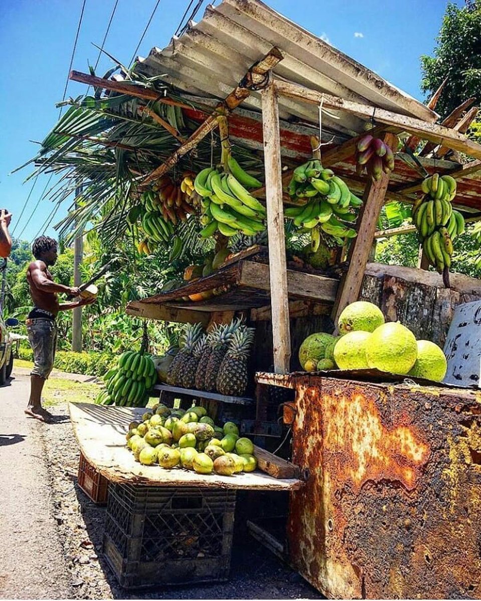 jamaicansdotcom's tweet image. Which fruit are you craving the most? 🍍🍌✅ | 📷 IG: xavs_world #JamaicanFood