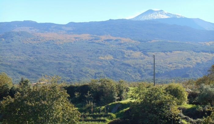 I vini dell'Etna sono un patrimonio (ancora) da approfondire bit.ly/viniEtna