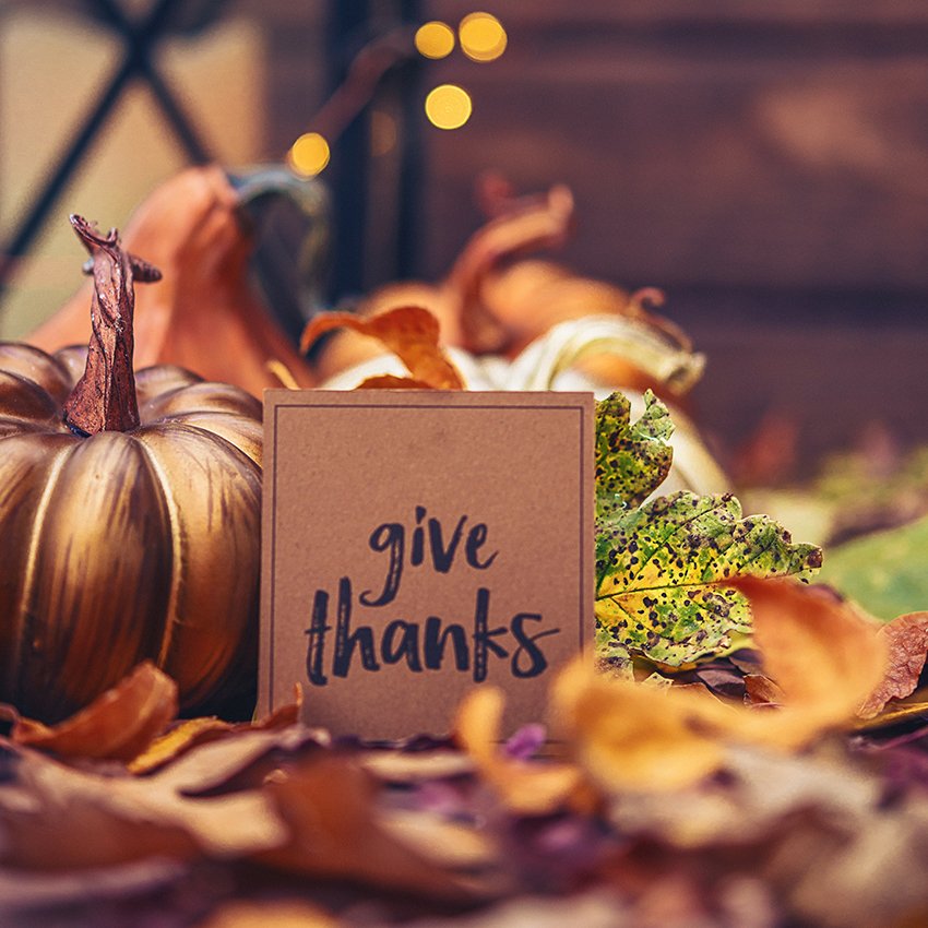 RepDomCosta's tweet image. With Thanksgiving approaching, I want to wish everyone a joyous holiday. I also want to remind everyone that help is available for families struggling with food insecurity. See below for local food banks, pantries and other resources.
pahouse.com/DCosta/News/?i…