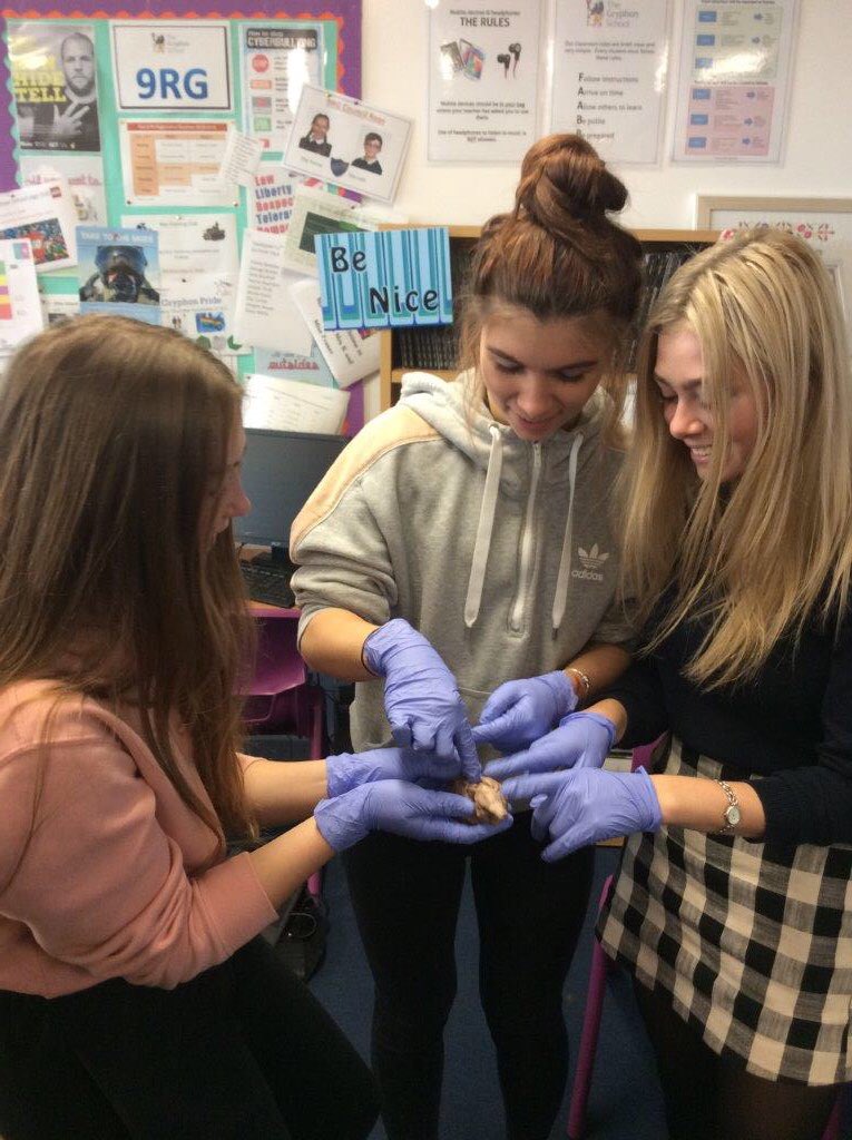Gryphon6thForm's tweet photo. Psychology students in Year 12 and 13 enjoyed the opportunity to get some hands on experience with the ‘Brain Days’ at The Gryphon with the neuroscientist Dr. Guy Sutton from The University of Nottingham and the Medical Biology Interactive #braindays #psychology https://t.co/VCgMs0mAm6