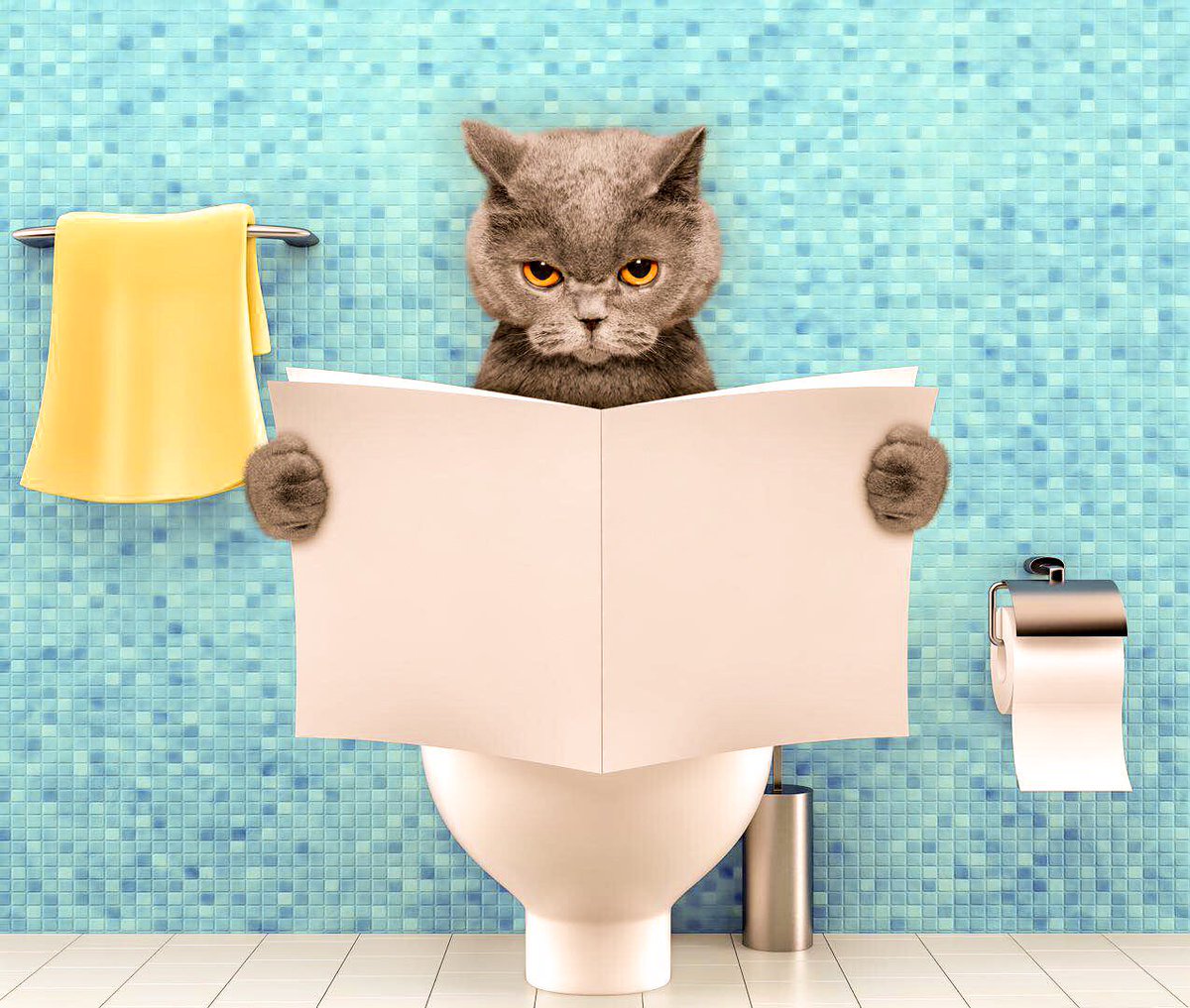 FlexiSpot's tweet image. Do you know that Prolonged sitting can greatly increase your chances of developing inflamed hemorrhoids? Because prolonged sitting will exert pressure on vessels and veins of anus area, which is the most of reason of Hemorrhoids. #flexispot #sitstandmove #ergonomics