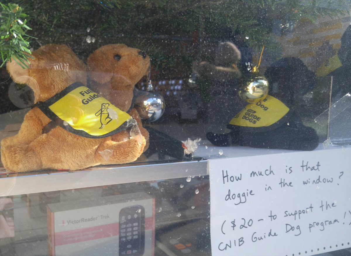 BrailleMatters's tweet photo. How much is that doggie in the window? $20 for your choice of golden retriever or black lab stuffed toys (with bright yellow CNIB guide dog in traing vests) at the #cnibcommunityhub #1525Yonge #midtown #GTA @CNIB_Ontario https://t.co/fc7UPCX9Yt https://t.co/1iADT1EIXx