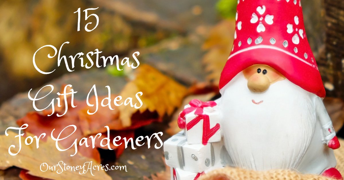 StoneyAcresBlog's tweet photo. Here are some great gift ideas for gardeners!! https://t.co/gBygDHY5cG  #giftsforgardeners #giftideas https://t.co/IpPeK7OunS