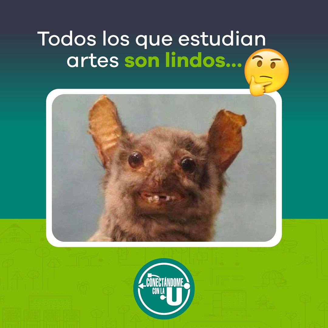 ConectadoConLaU's tweet photo. @ConectadoConLaU https://t.co/qoleObzvea