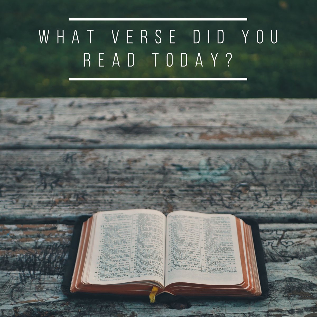 pcc1829's tweet photo. What verse did you read today? Share it with all of us! 😊 https://t.co/0ecedBLdWL