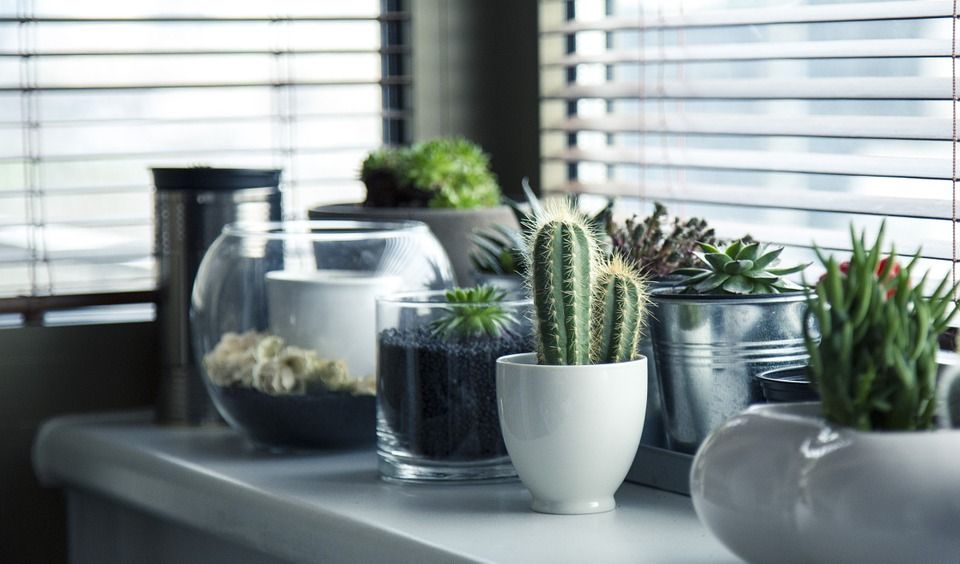 Exploring ideas to improve your home’s #indoorairquality this fall? That’s a great idea! Allow us to help you comb through the details of doing it right with this guide and assessment offering. 
bit.ly/2LMXPMz 
#Homeowners #NewHomebuyers #Mold #HouseholdAllergens #HowTo