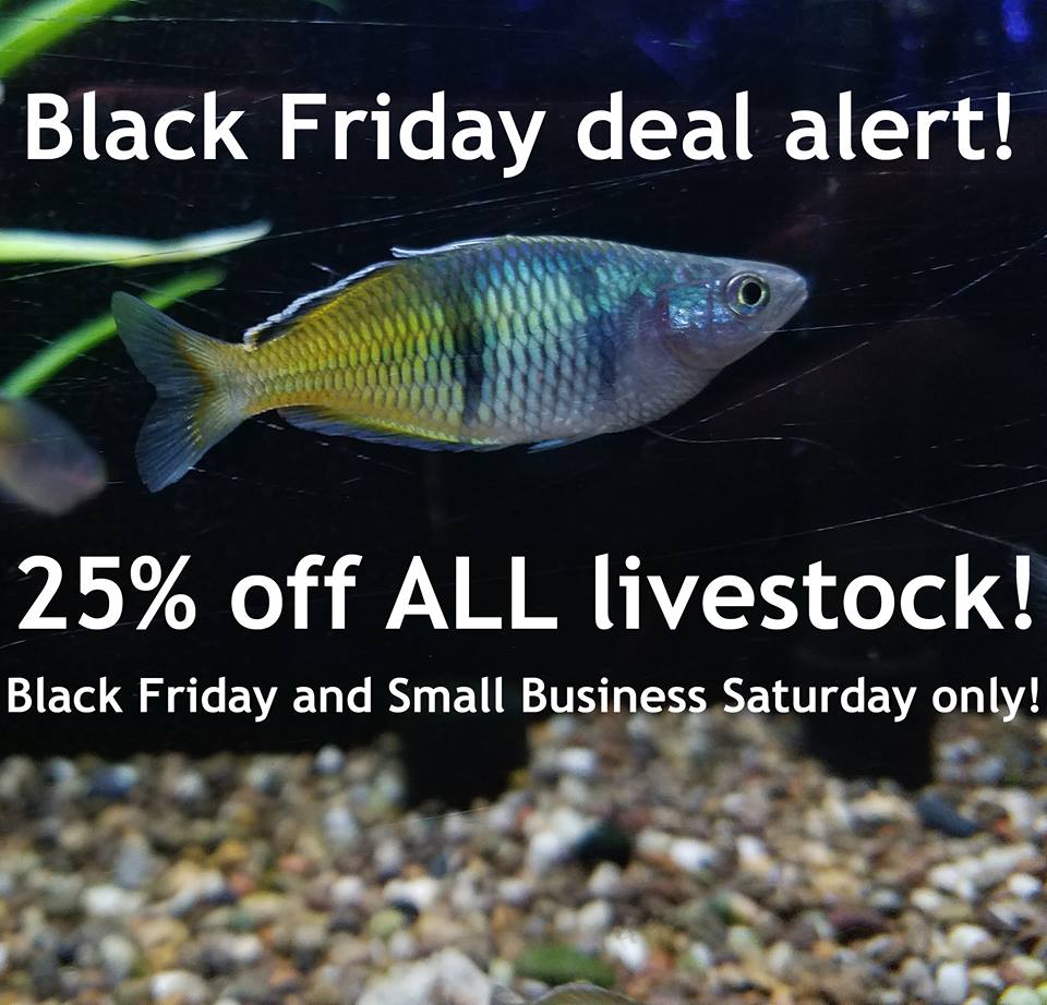 FGFlow's tweet image. Black Friday Deal Alert!!!