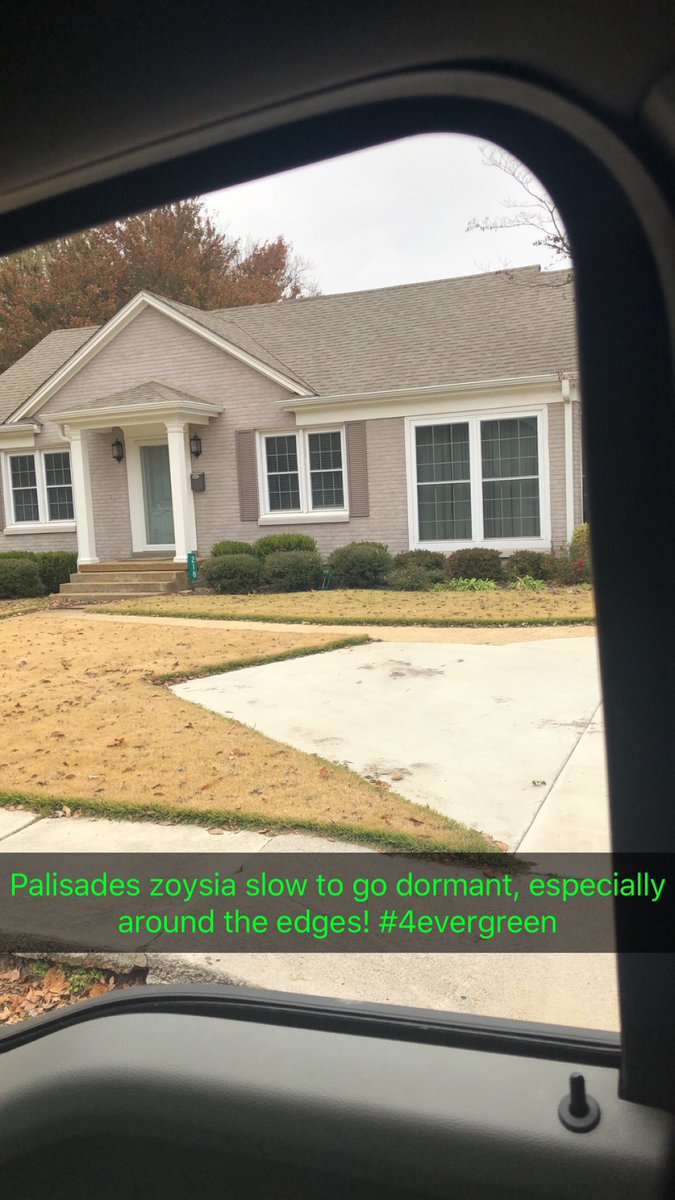 4EverGreen2001's tweet photo. #lawncare #4evergreen #4evergreenfreeestimates #zoysialawn https://t.co/LoIZkpljDf