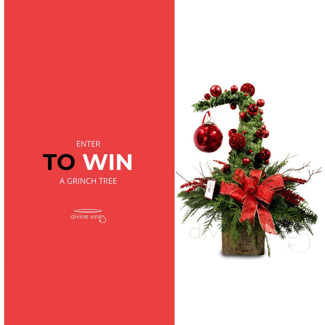 divine_vines's tweet photo. Enter To Win a GRINCH TREE  https://t.co/1nZLeCnqkC WE♥U #vancouvercontest #dhcontest #vancouver #holiday #candytown2018 https://t.co/apOLkvLO9C