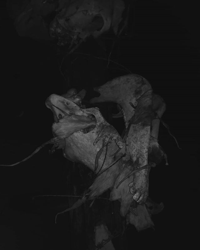 LaraVerlinde's tweet photo. Bone by bone  by bone. #feathersandlips #kenmode #cowardice https://t.co/zYuo01wS0n https://t.co/FcLNJZ4jh1