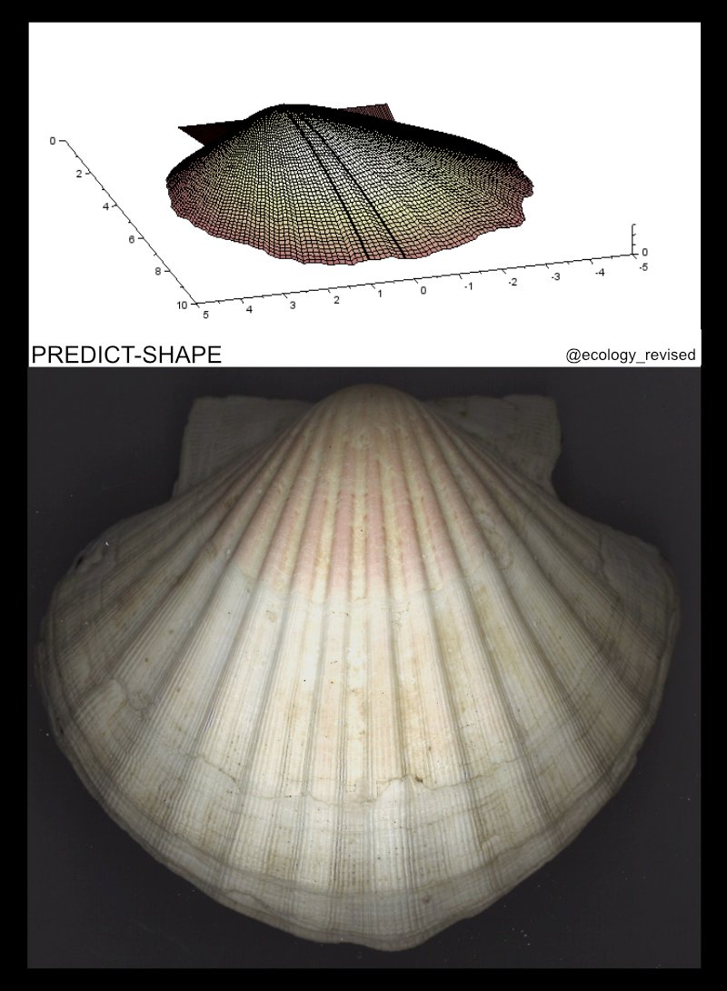 2eAvis's tweet photo. Merci à la @regionbretagne pour leur soutien pour mes recherches sur la #morphodynamique des coquilles ! #BOOST'ERC / @IUEM_Brest @UBO_UnivBrest @LemarLab https://t.co/Hh8tSXrdXd