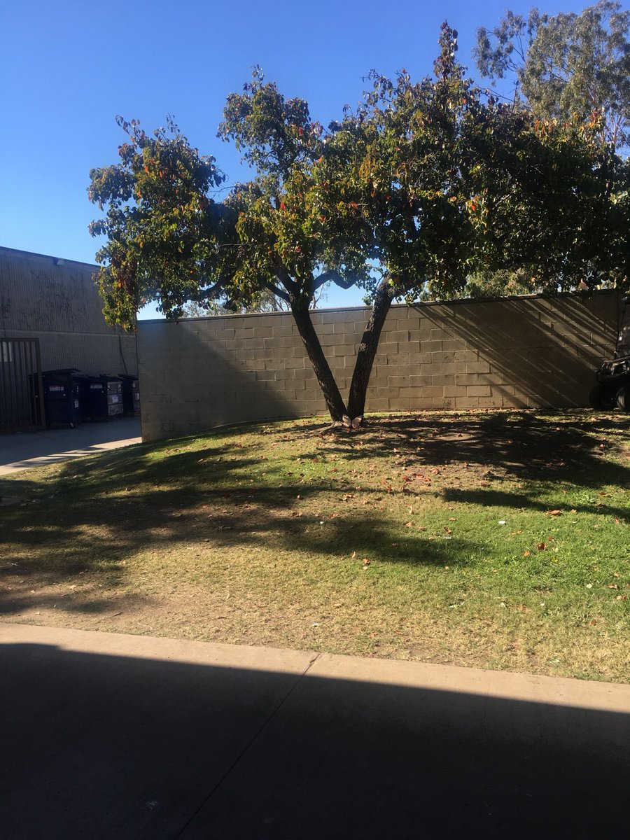 butterflybtc's tweet photo. #SerraHigh Thanksgiving #butterflydrop!
Clue 1: Cafeteria is where you GOBBLE food!
Clue 2: THANK the cafeteria staff while youโre looking for the butterfly!
Clue 3: donโt let the butterfly FALL!
Finder: Megan Keller who would like to donate to Mercy Ships.
#butterflyeffect https://t.co/2tFPDJbX3d
