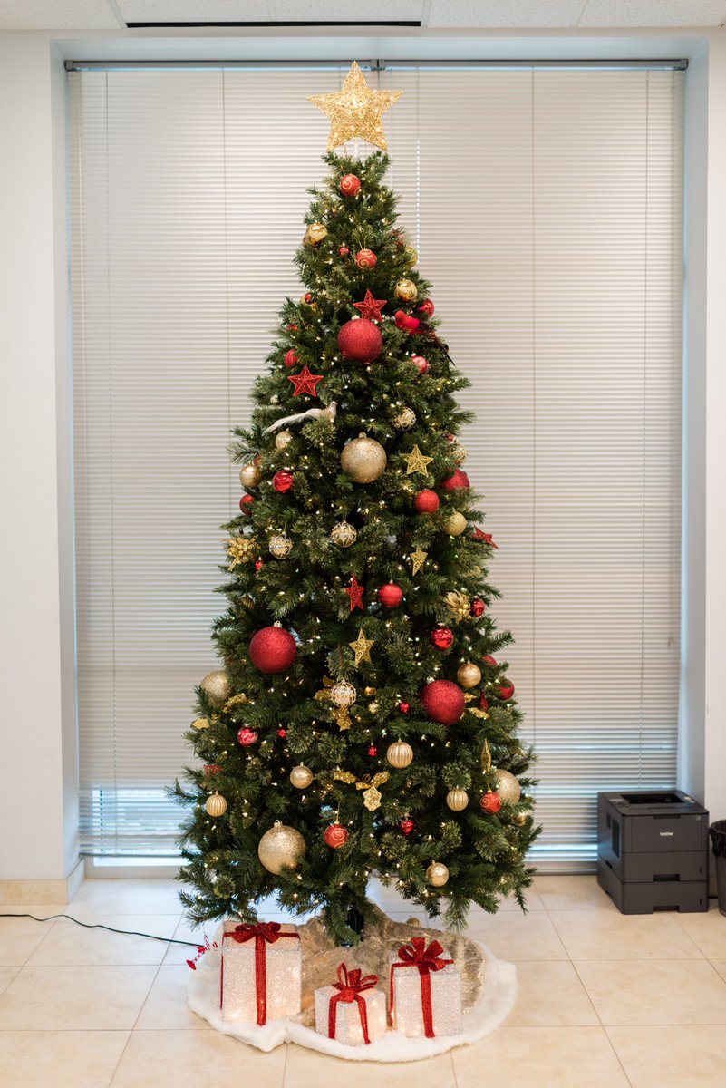 SkylineCabinets's tweet photo. @MaryBoondocks Lovely! Here is our tree! https://t.co/5MRlfbwuR1