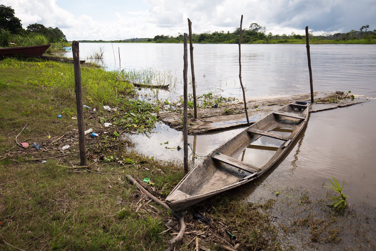 winetowater's tweet image. (1/3) (Pt. 1) 
“I leaned my head out of the covered speedboat, looked up, and trusted them to do their work. We’d already hit a few unidentified objects in the Amazon on our way back to the dock, and my mind needed some reins. We were supposed to be in Leticia hours ago.”