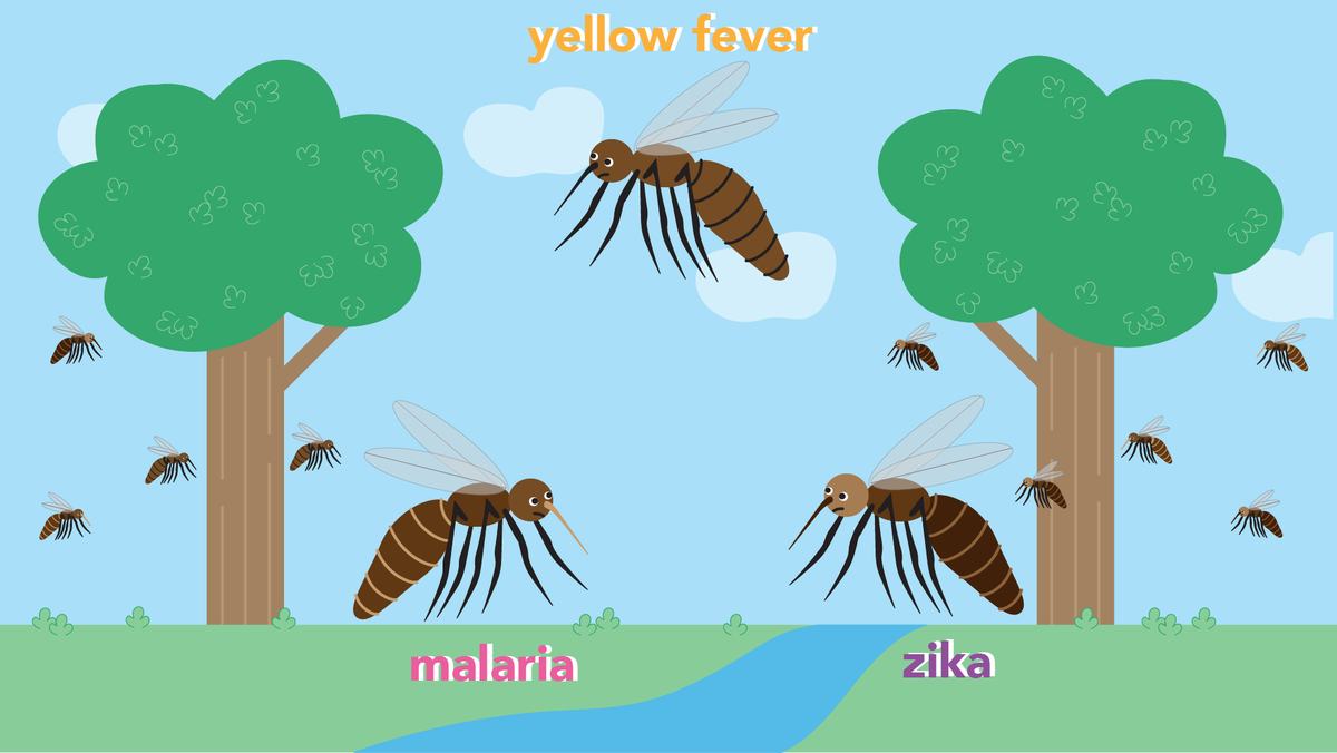 Sci_Toons's tweet photo. Scientists could use #GeneDrive tech on mosquitoes to eliminate the many diseases they carry, including #malaria, #yellowfever, and #Zika––but would it be ethical to do so? Learn more in our upcoming #video! #bioethics #scieethics #genetics #scicomm #scipol #stem #BrownUniversity https://t.co/KktKUHcHm5