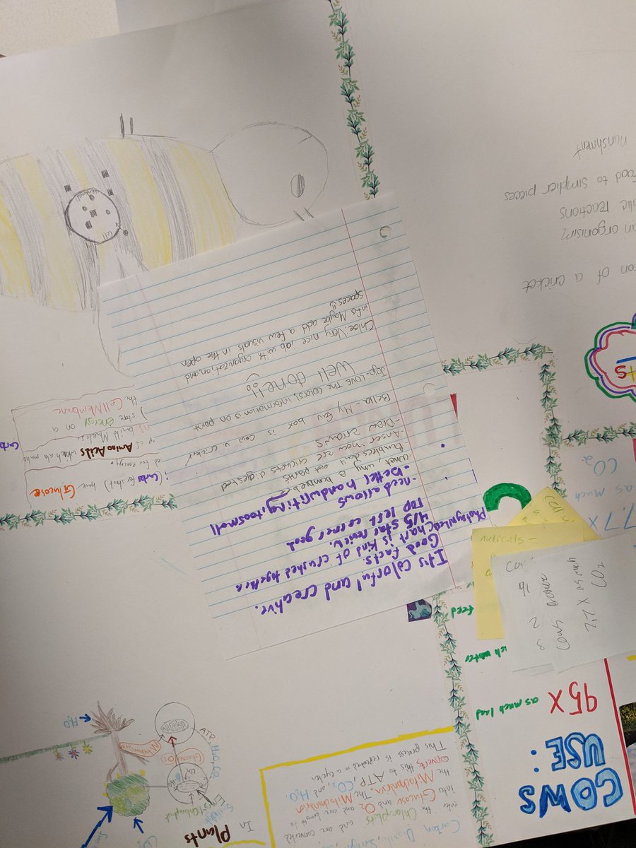 hnaczi's tweet photo. Peer review of "Crickets in my Lunch?" Concept maps. #MarcellusCSD #DMSscience #livingenvironment #workinprogress https://t.co/RRPyjctkqL