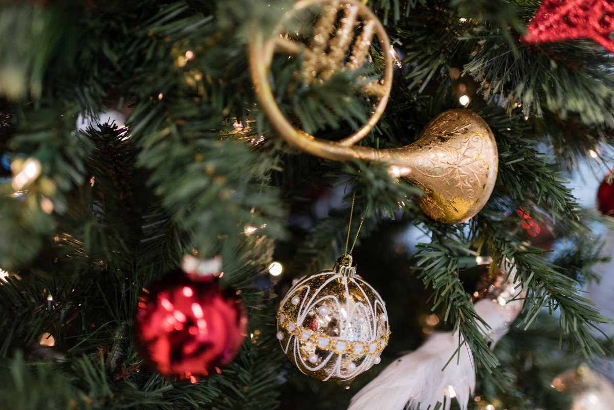 SkylineCabinets's tweet photo. @MaryBoondocks Lovely! Here is our tree! https://t.co/5MRlfbwuR1