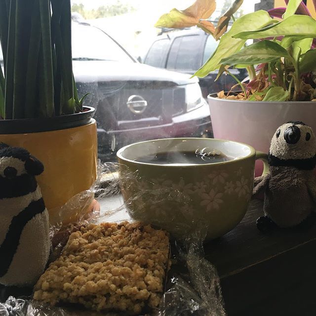 penguinswander's tweet image. Having a date square and coffee at Serious Coffee. Waiting for the RV to be winterized. #RV #penguinsofinstagram #rvwinterization #seriouscoffee #victoriabccanada #penguinswander ift.tt/2qVD1dv