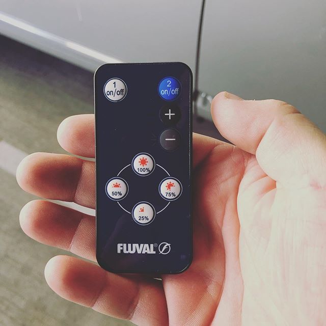 LeftCoastFish's tweet photo. You know you’re an aquarist when you find the remote for your lights in your pocket at work. #fish #aquarium #fishroom https://t.co/5hXfLtfGsg https://t.co/RYMhrTUcy1