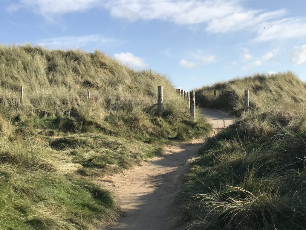 BlueWaters_H0L's tweet photo. Today we went to Gwithian, and walked along the coastal path across the greenest grass you have ever seen edged with beautiful sand dunes and wild grass, and fantastic views of Godrevy Lighthouse made famous by Virginia Woolf in her novel ‘To the Lighthouse’ #Godrevy #Gwithian https://t.co/cejrPnsi7k