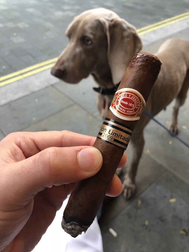 vtolacigars's tweet photo. When the Limited Edition is that good, you have to bring a guard dog...

#cigars #cubancigars #nowsmoking #romeoyjulieta https://t.co/7fn0skKfvV