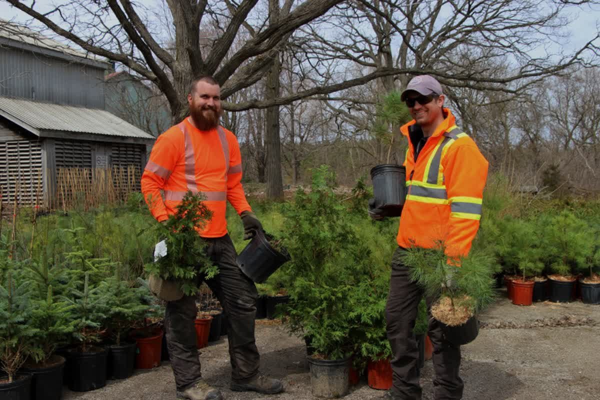 It's that time of year again to order trees for spring! If you have at least one hectare (2.5 acres) of land, and are planting yourself, order now for spring pick-up. qoo.ly/ti4e8