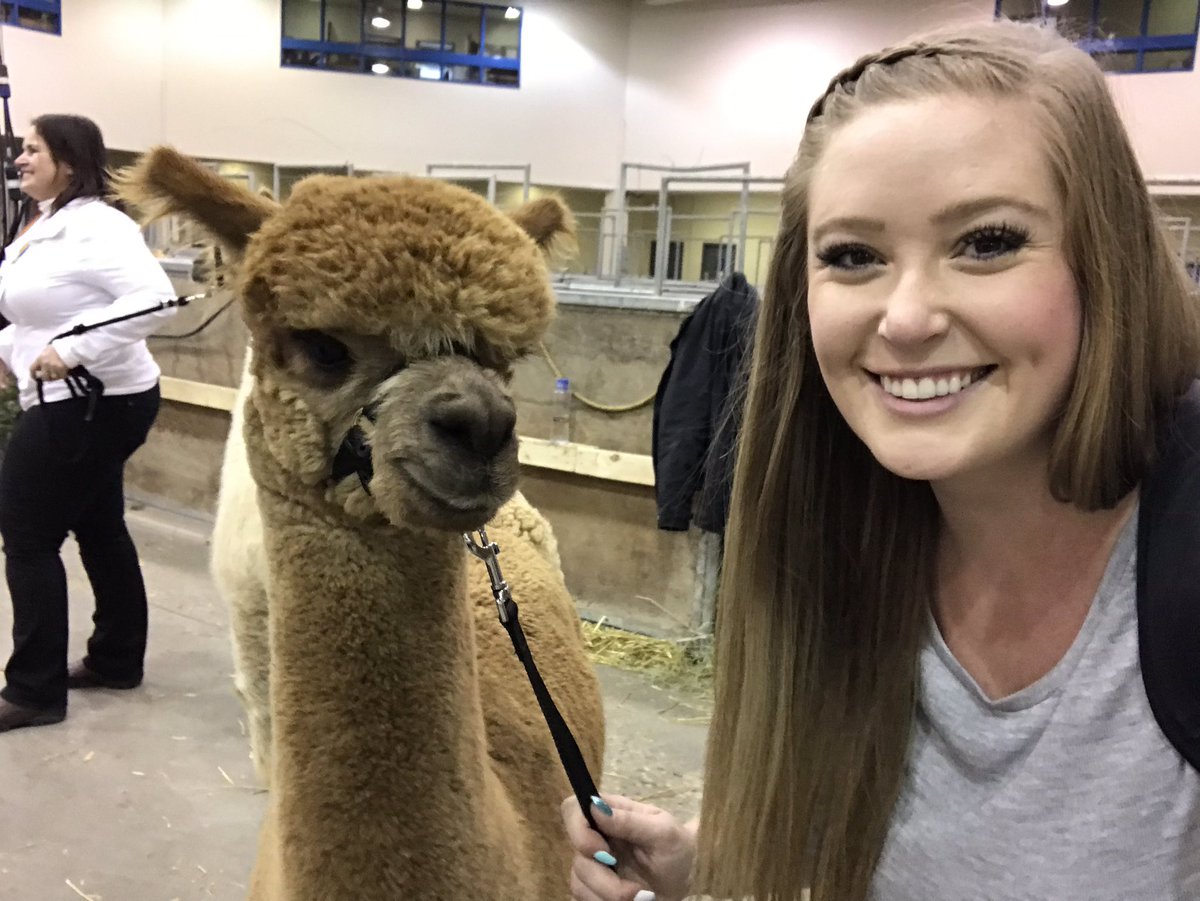 Mom said I might get hungry at <a href="/Agribition/">Canadian Western Agribition</a> but I told her not to worry, alpaca lunch. #illseemyselfout