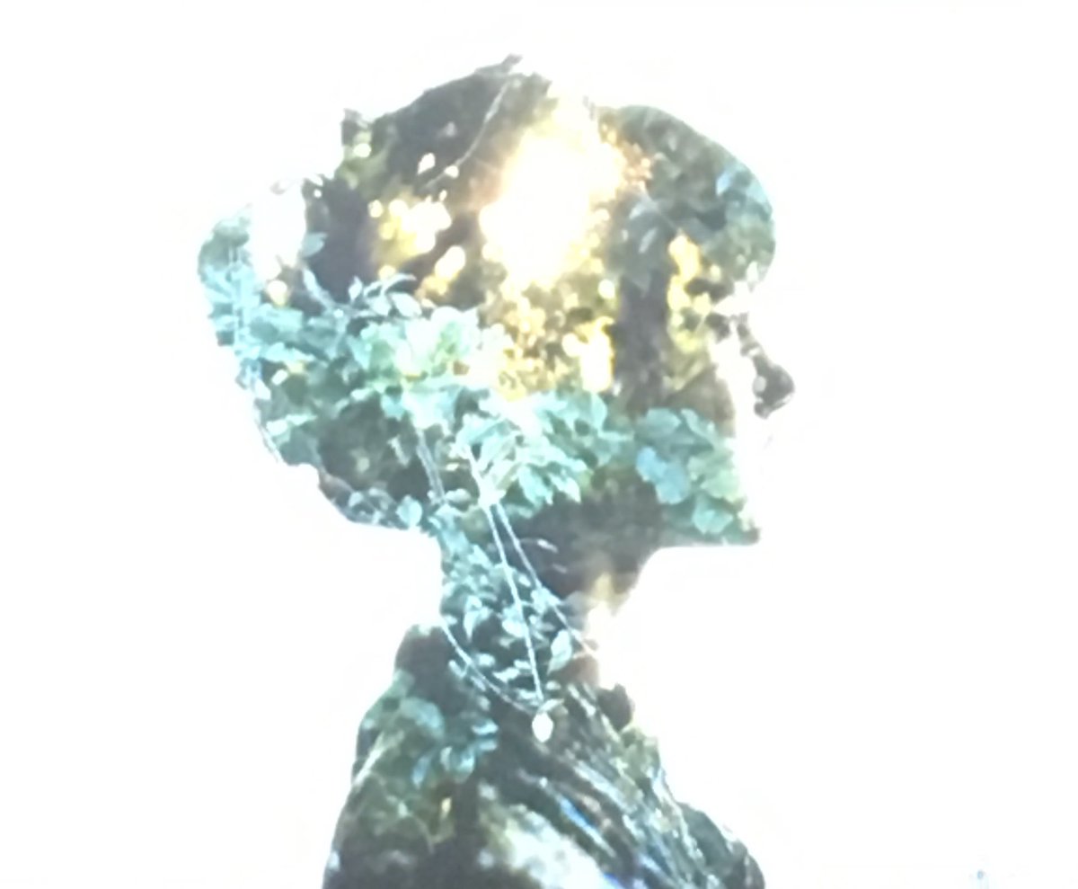 emw0885's tweet photo. Biophilla = The innate human attraction to nature and natural process. @BCO_NextGen Talk by @Oliver_Heath. An excellent setting @OVOEnergy Bristol - a room full of grass and greenery. #BCOevent #BCOnextgen https://t.co/k80KVmQpbE