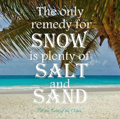 BeachsideVR's tweet image. Agree? ;)