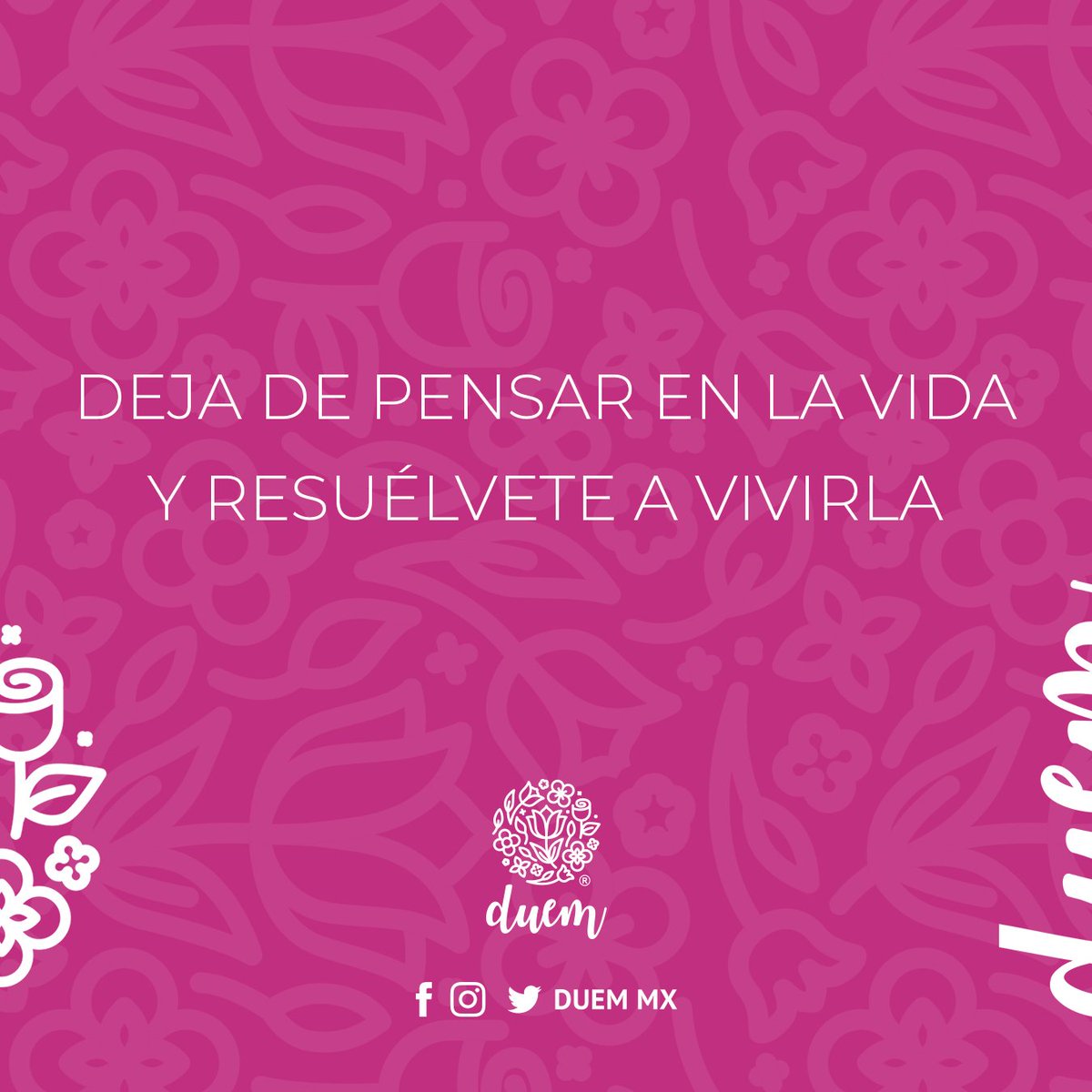 DuemMx's tweet photo. #TipsDuem #FelizMartes #BellezaNatural 😊
#motivation #MotivationalQuotes #quotes #frases #martes https://t.co/YMNDf93DfA