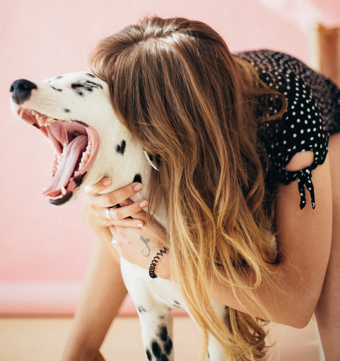 OurBestFriend1's tweet photo. Want to become a foster parent to an animal? Read how in the next issue. #ourbestfriends https://t.co/MaNhRQd82m