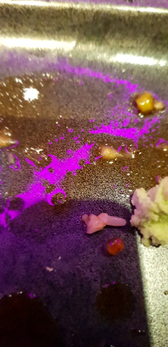 KKeurig's tweet image. Met het grootste kind naar #sb2018. Vervolgopleidingen bekijken. En samen eten. Ook leuk.