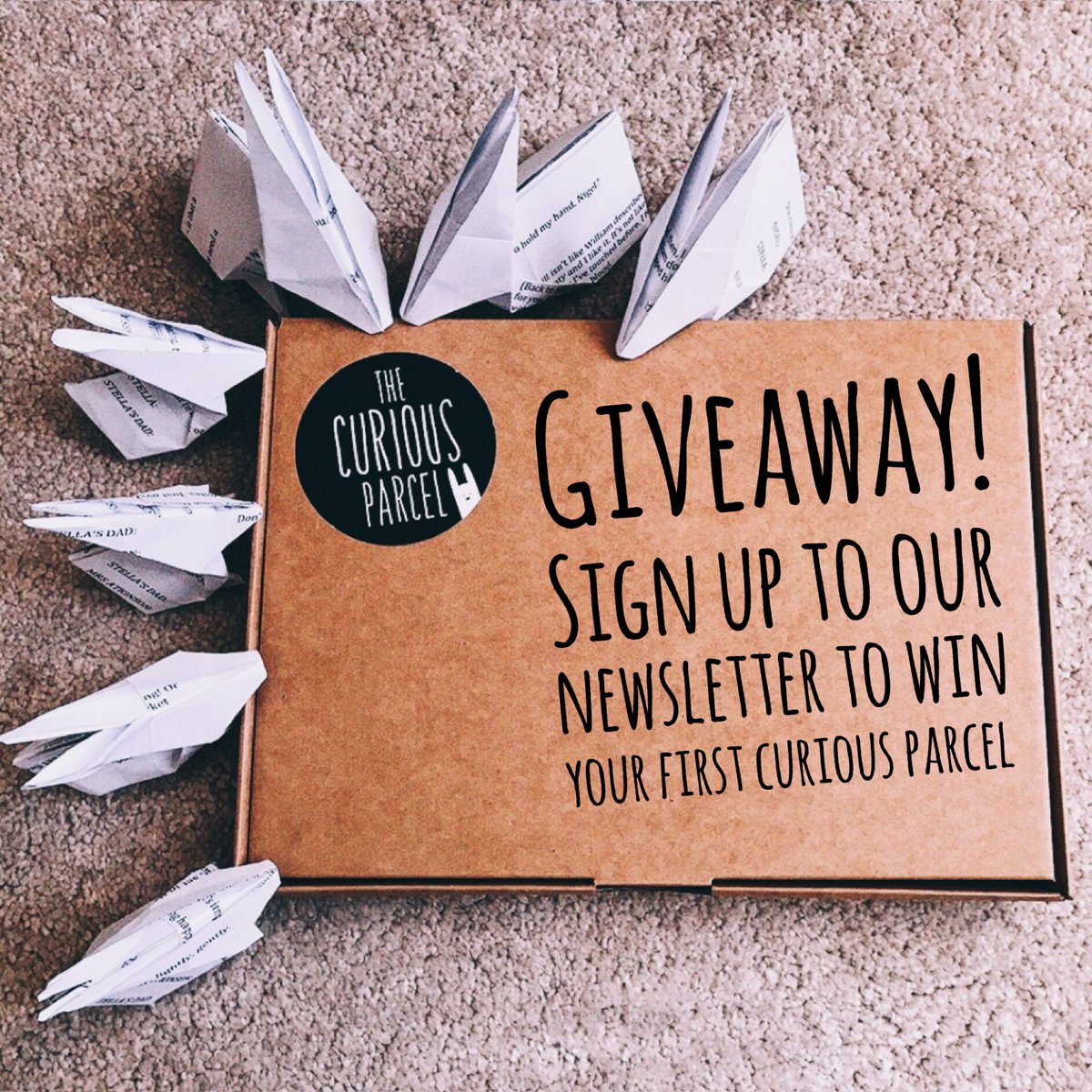 The Curious Parcel tweet media