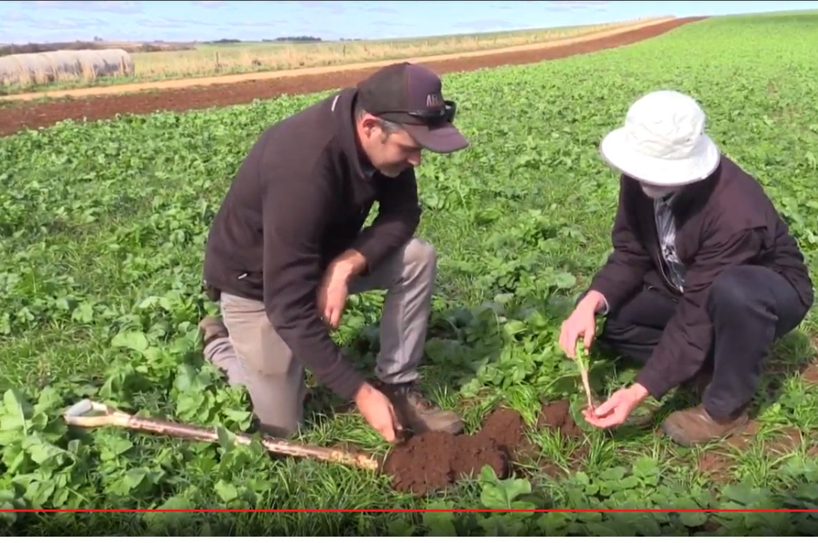 SoilWealth tweet media