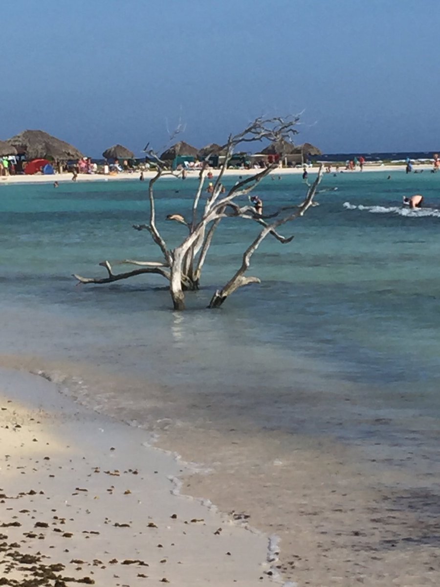 Hompke's tweet photo. Third Day Baby Beach #abeachaday https://t.co/JX50ZvXKnW