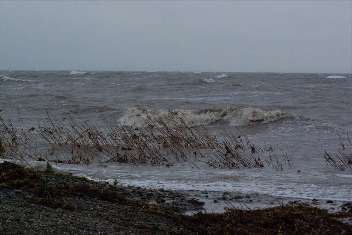 A Seaside Cenotaph 11/11/2018
A piece I wrote about a moment of marking the life of the grandfather I never met. The inscription carved out in the Bay, a freshly stitched wound on the bed of the sea, washed away as the tide came in. deadgoodguides.co.uk/?p=2999