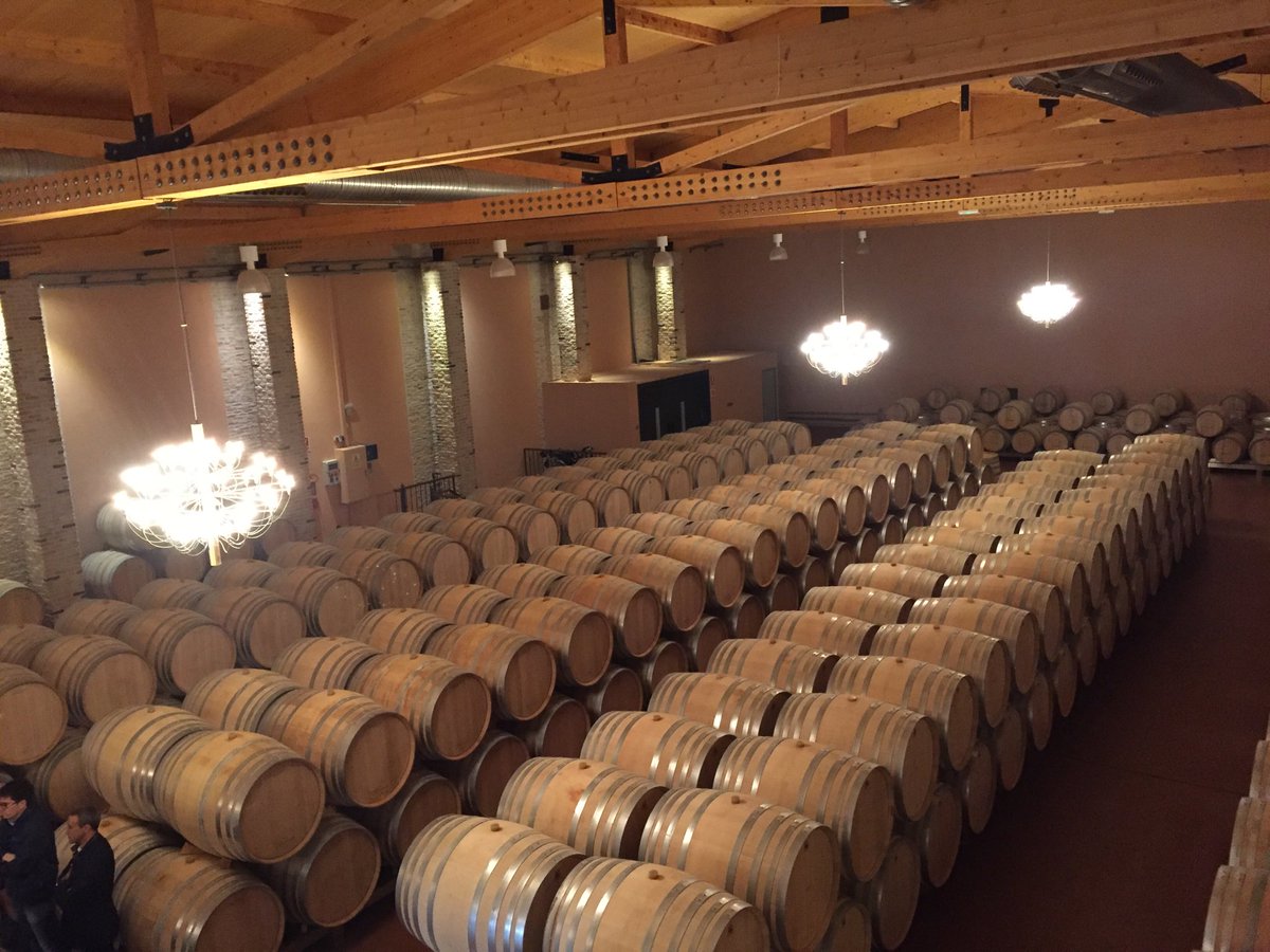 Barrel cellar at ⁦@Emilio_Moro⁩, where the single-vineyard Valelderramiro and Sanchomartin 14s were a perfect match for a lunch of roasted lamb