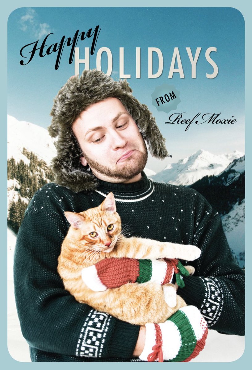 teganmierle's tweet image. Holiday time is really when I do some of my greatest work. Tegan&apos;s Holiday Portrait Studio is currently open for business, so hmu. Makes a great company card.