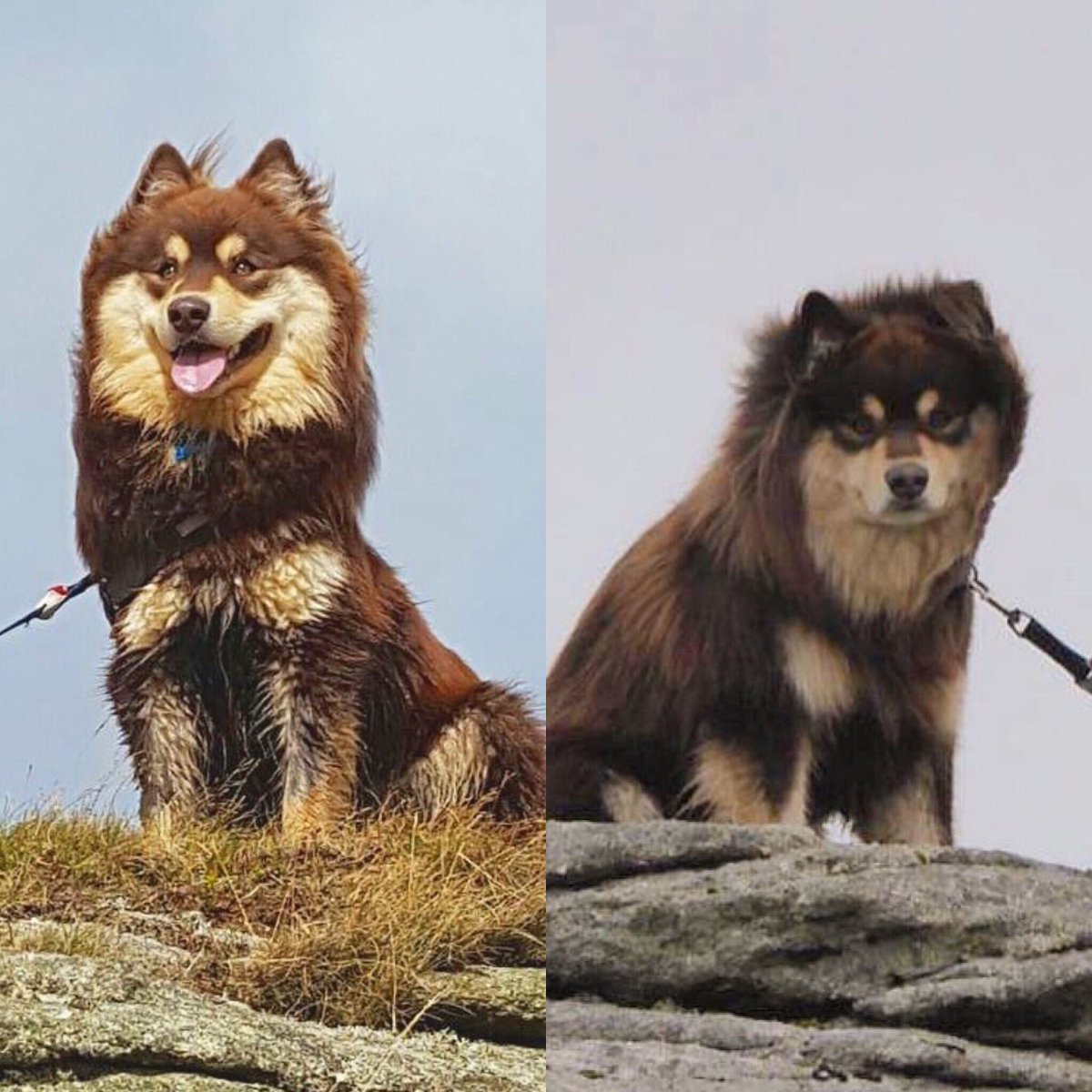 Same tor, two very different moods and weather conditions! 😂