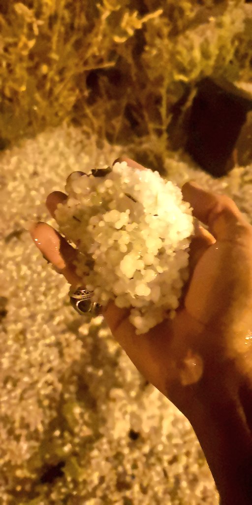 Alsharifi_a's tweet photo. برديه محافظة #سراه_عبيده الان
الثلاثاء : 20 نوفمبر 2018
#طقس
@weather_badr
@b_aljuhmh
@mansuorr13 https://t.co/Sw6S51Yuvy
