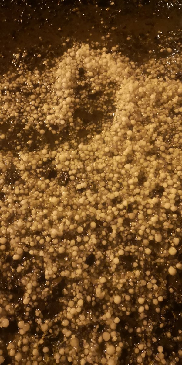 Alsharifi_a's tweet photo. برديه محافظة #سراه_عبيده الان
الثلاثاء : 20 نوفمبر 2018
#طقس
@weather_badr
@b_aljuhmh
@mansuorr13 https://t.co/Sw6S51Yuvy