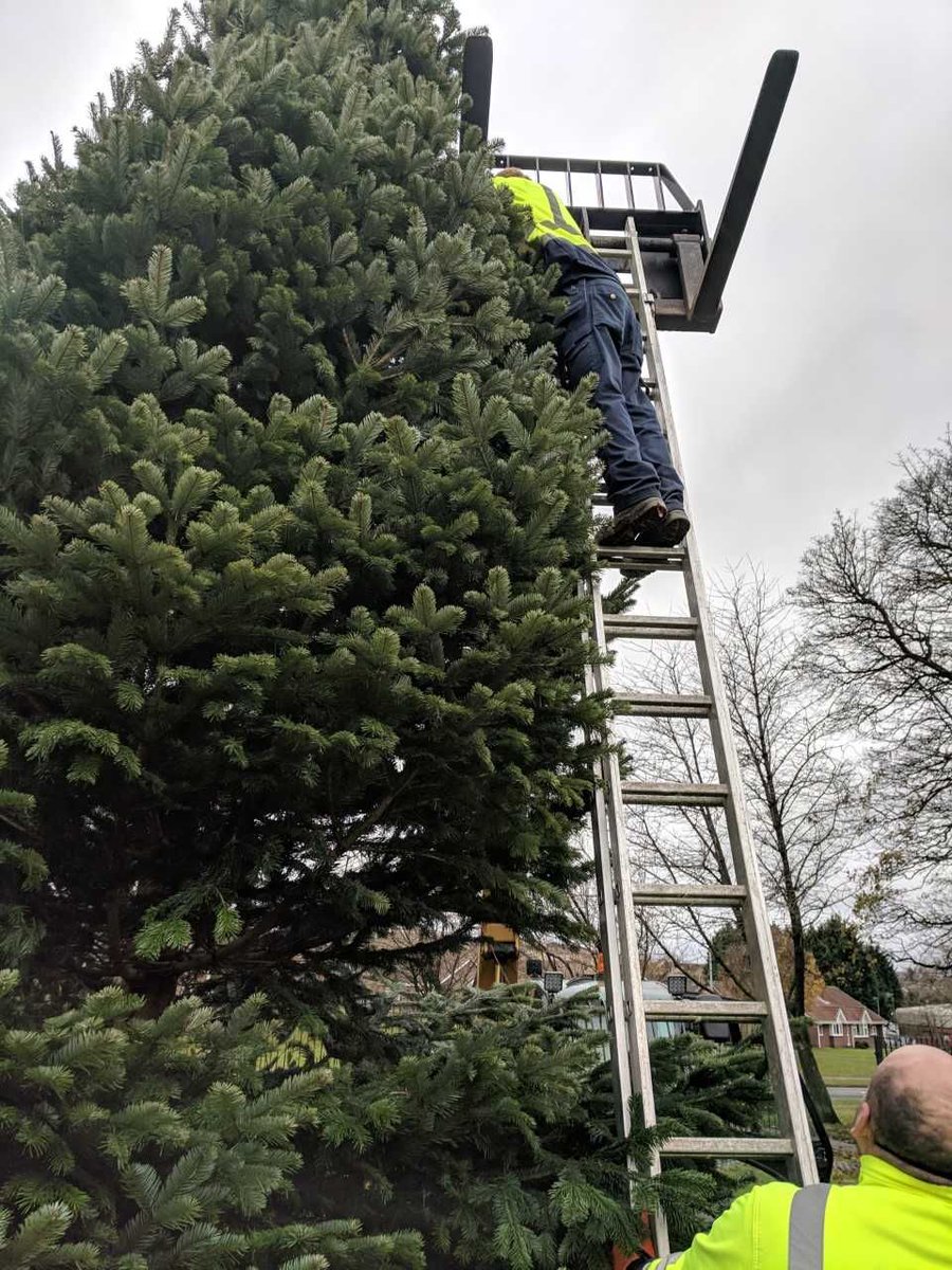 Watch this space... 🎄 🎄 ✨🌟 
#wearePTC #Christmas2018 #ChristmasTree